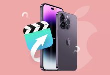 Photo of 2 cách khôi phục video đã xóa trên iPhone cực đơn giản và nhanh chóng, không biết thì sẽ rất tiếc đó nhé!